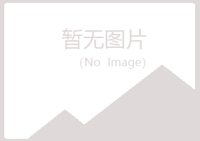 金山区凝天会计有限公司